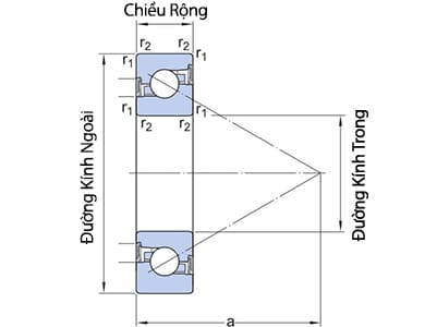 Bản vẽ kỹ thuật Vòng Bi Cầu Tiếp Xúc Góc 1 Chiều SKF BSD 3572 CGA-2RST/VU205