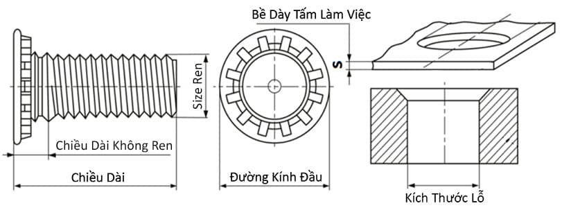 Bản vẽ kỹ thuật Bulong Ép Inox 304 M3x9 (FHS-M3-9)