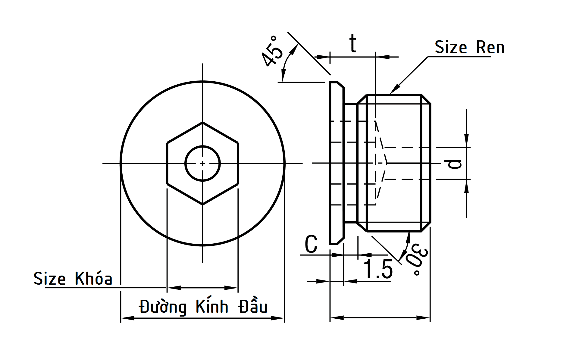 Bản vẽ kỹ thuật Screw Plugs Type Washer Face M12 MSWZH12