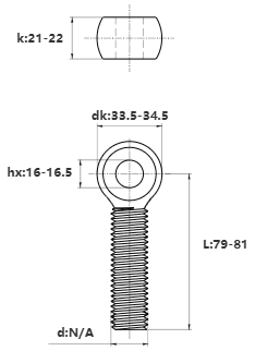 Bản vẽ kỹ thuật Bulong Mắt Inox 304 M20x80 (Suốt)