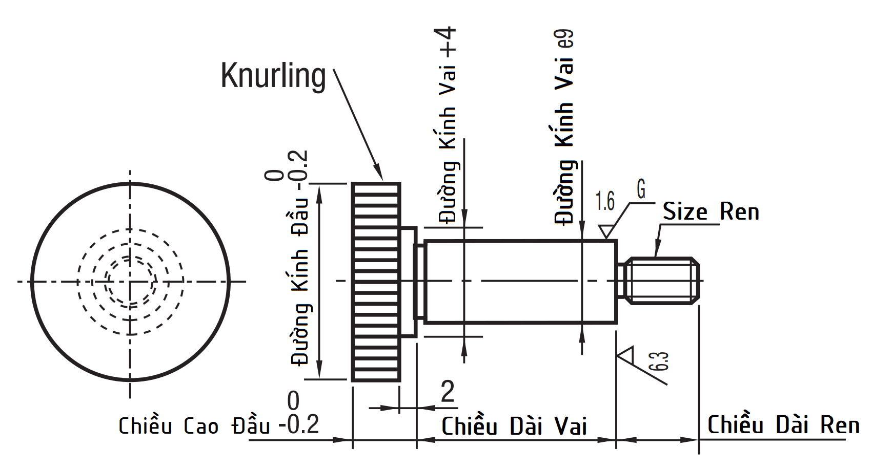 Bản vẽ kỹ thuật Bulong Dẫn Hướng Đầu Lớn D6x15 MSBY6-15