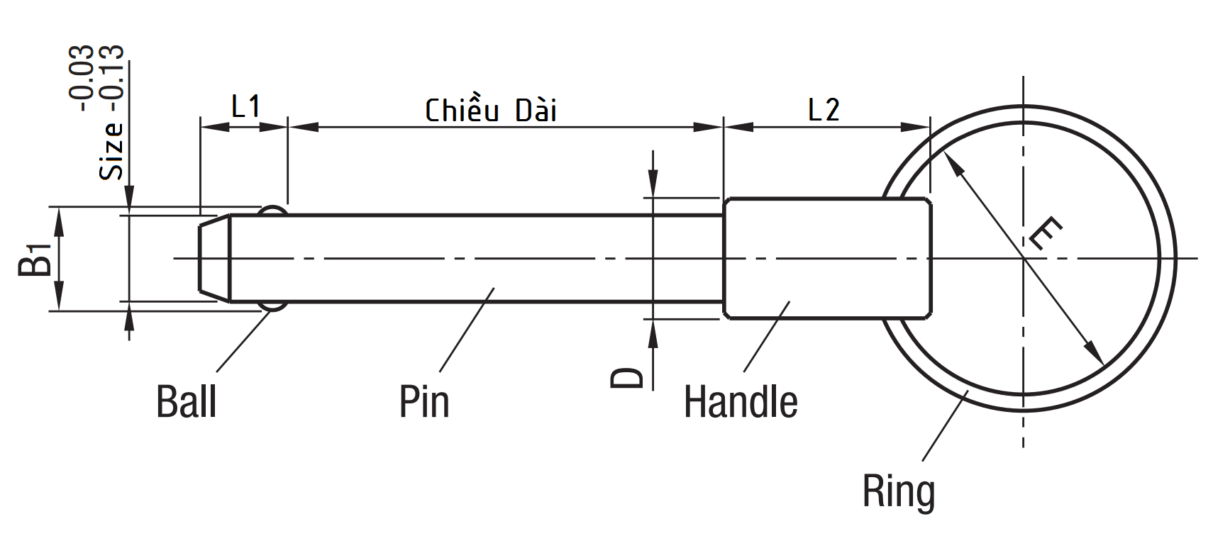 Bản vẽ kỹ thuật Ball Lock Pins - Spring Type D8x65 BLPS8-65