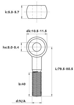 Bản vẽ kỹ thuật Bulong Mắt Inox 304 M6x80 (Lửng)