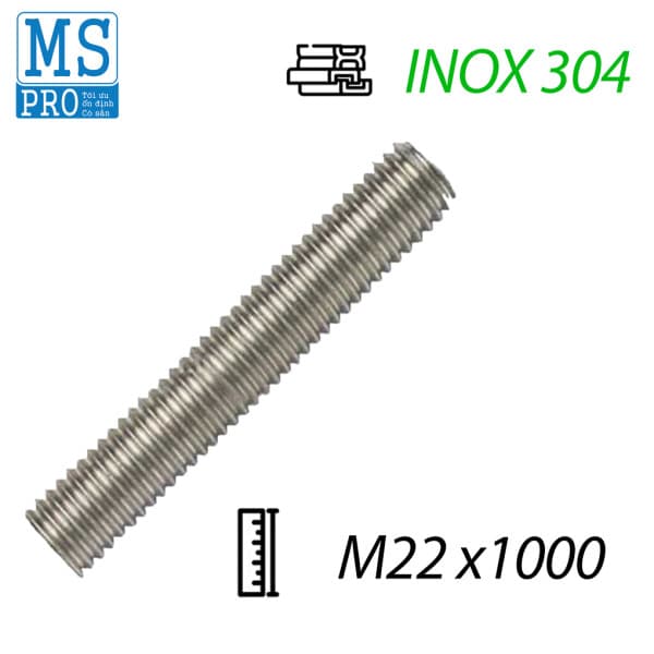 Ty Ren Inox 304 M22x1000