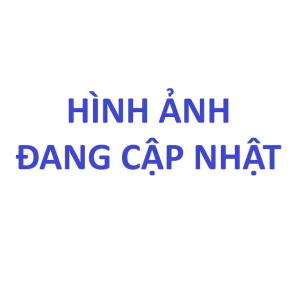 Vít Trí Đuôi Lõm Thép Nhúng Nóng Kẽm 10.9 DIN916 M20x20