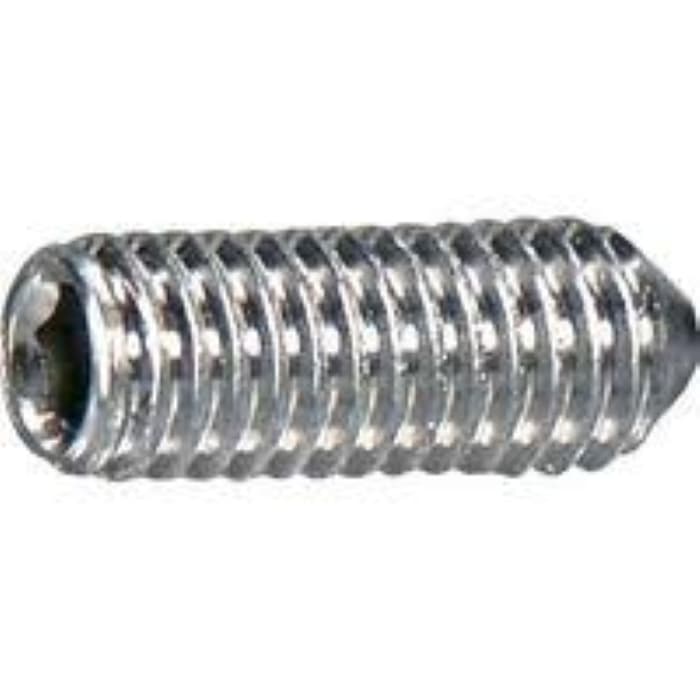 Vít Trí Đuôi Bằng Inox 304 M1.4x3 NBK Dòng SNTS-FP