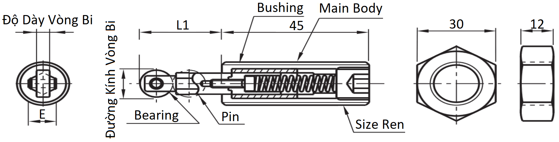 Bản vẽ kỹ thuật Roller Plungers Hex Screw Heavy Load M20 RBSJ20