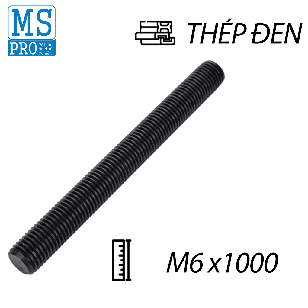 Ty Ren Thép Đen 8.8 M6x1000
