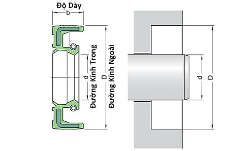 Bản vẽ kỹ thuật Phốt Chắn Dầu SKF 65x120x12 HMSA10 RG, Cao su Nitrile (NBR)