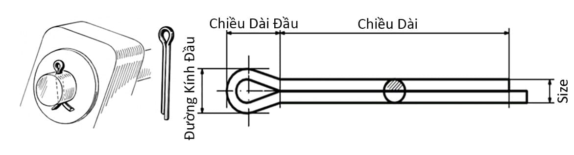 Bản vẽ kỹ thuật Chốt Chẻ Thép Mạ Kẽm 7 Màu (Chốt Bi) D2x20mm