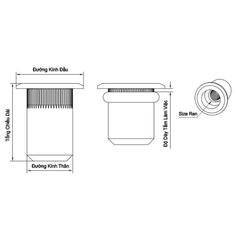 Bản vẽ kỹ thuật Tán Rút (Nutsert) Bít Đầu Inox 304 M6