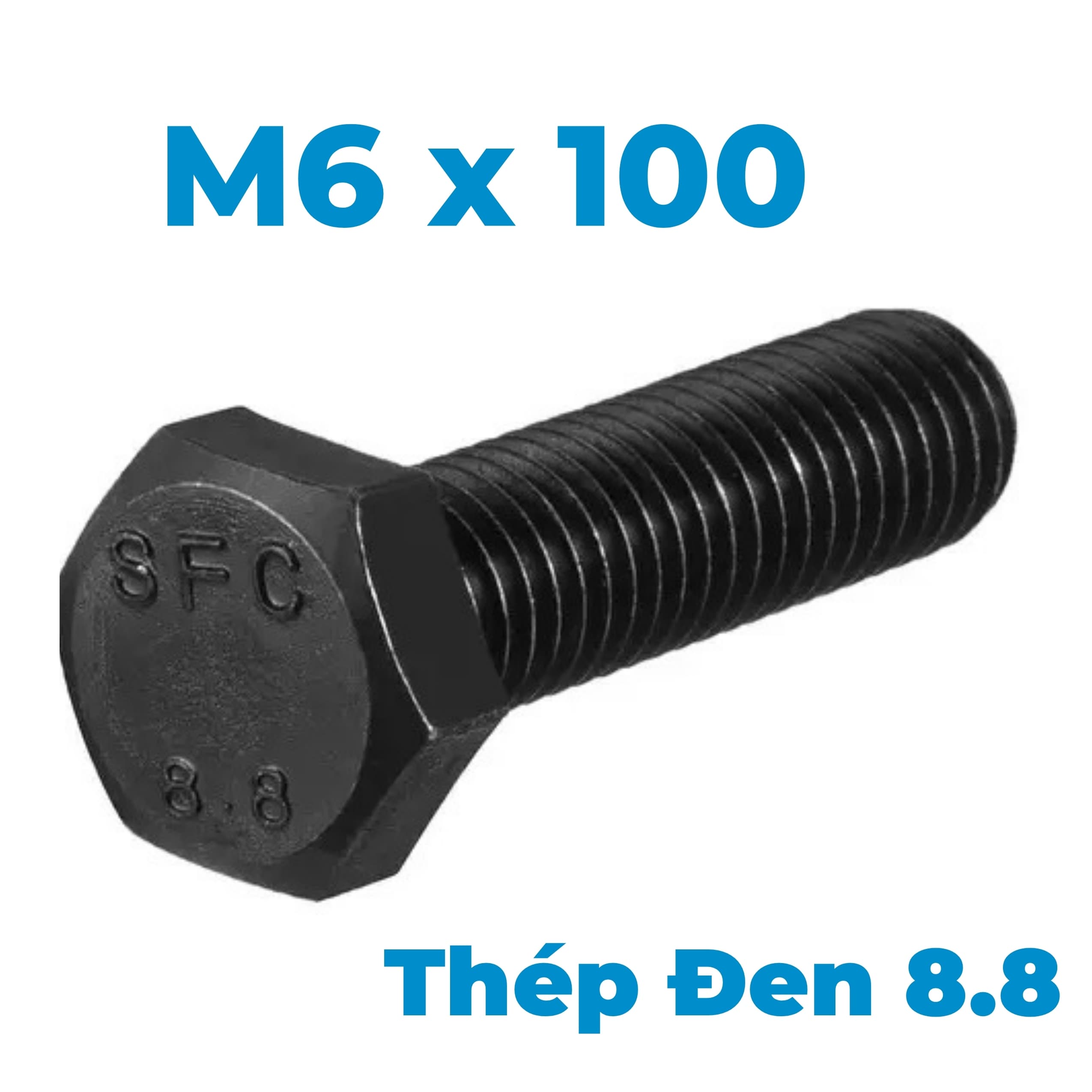 Bulong Thép Đen 8.8 DIN933 M6x100