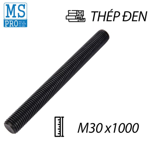 Ty Ren Thép Đen 8.8 M30x1000