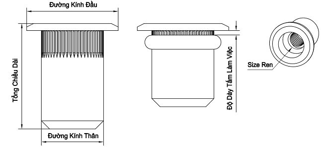 Bản vẽ kỹ thuật Tán Rút (Nutsert) Inox 304 M6 (25Cái/Bịch)