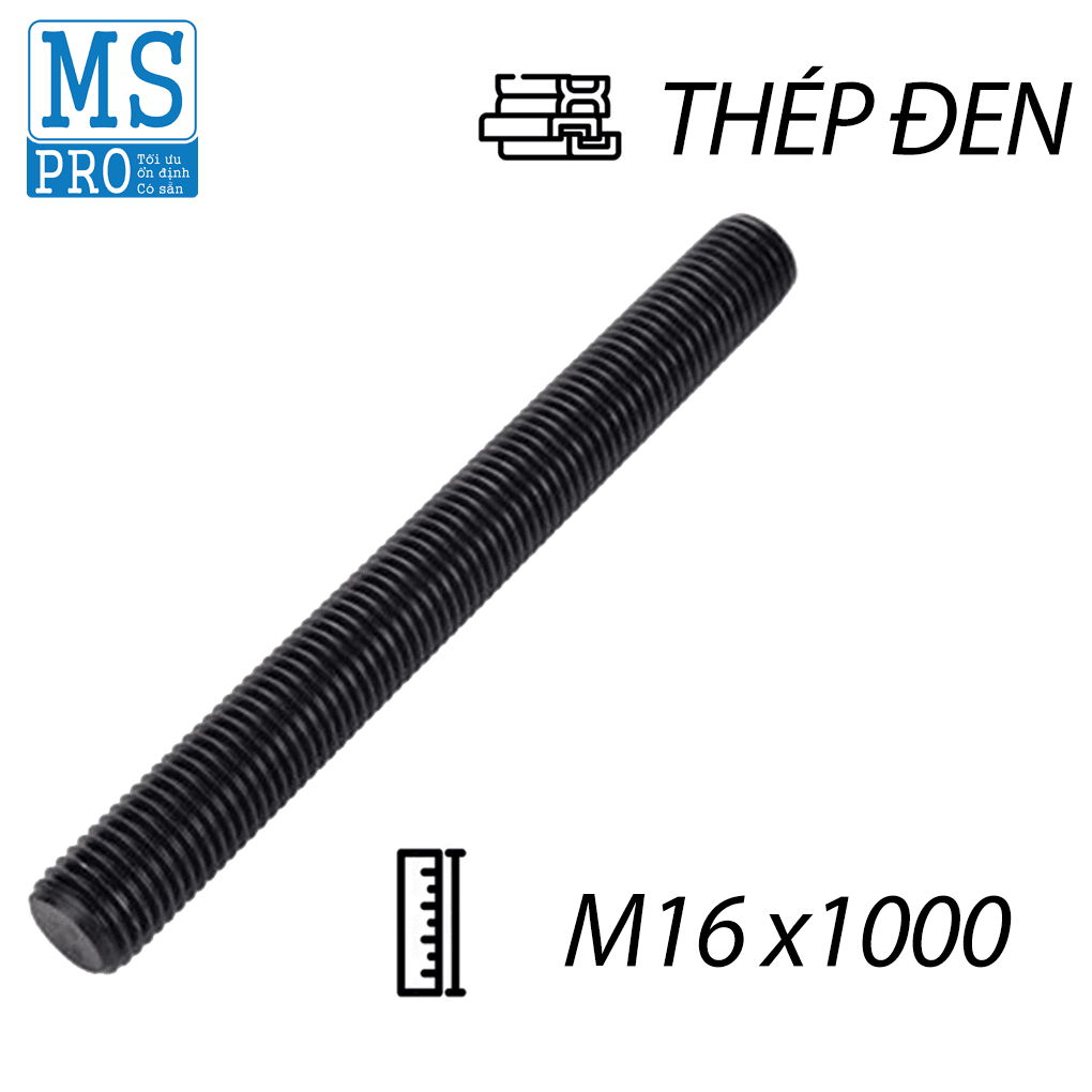 Ty Ren Thép Đen 8.8 M16x1000