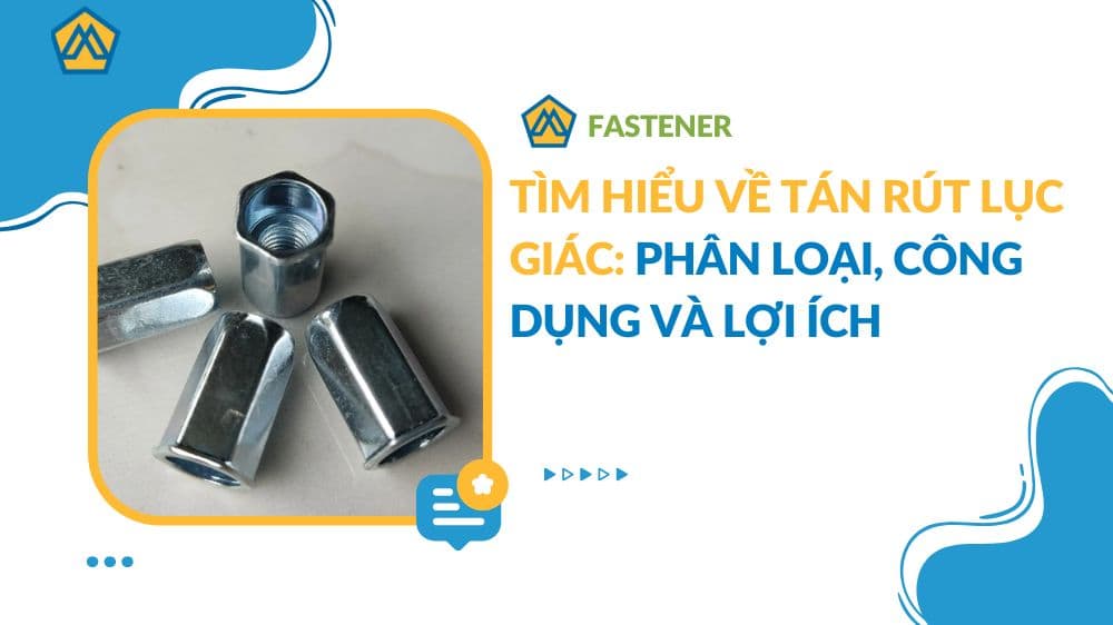 Tìm hiểu về tán rút lục giác: phân loại, công dụng và lợi ích