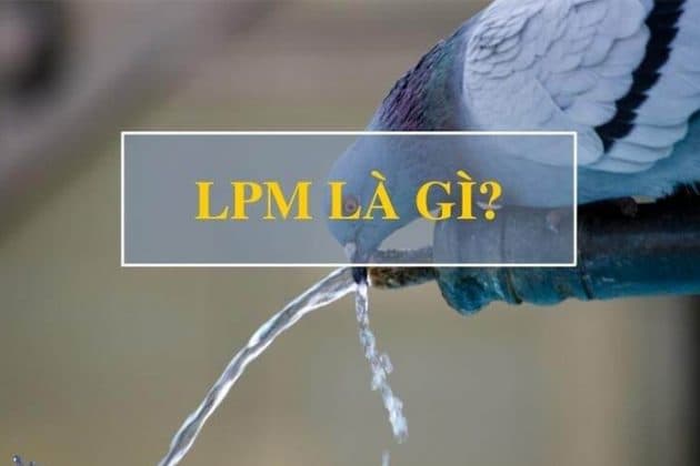 LPM – GPM: Khái niệm, ứng dụng & bảng tính chuẩn (2025)