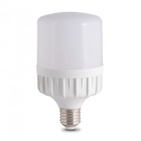 Bóng LED Bulb Rạng Đông TR140N1/50W (Ø140x225) màu vàng