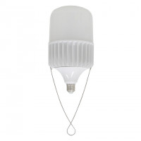 Bóng LED Bulb Rạng Đông TR135/80W (Ø135x260) màu trắng