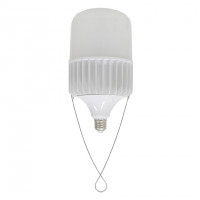 Bóng LED Bulb Rạng Đông TR135/80W (Ø135x260) màu vàng