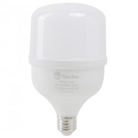 Bóng LED Bulb tàu cá Rạng Đông TR100.TC/30W E27 (Ø100x170) màu trắng