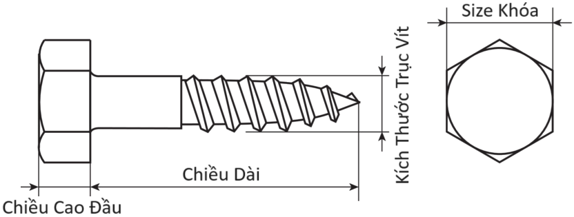 Vít Phong Inox 316 DIN571 M10x60_drawing