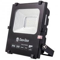 Đèn LED chiếu pha Rạng Đông CP06 30W (200x180x55) màu trắng