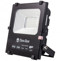 Đèn LED chiếu pha Rạng Đông CP06 30W (200x180x55) màu trắng