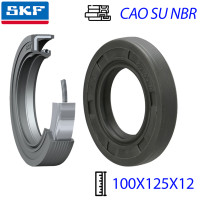 Phốt Chắn Dầu SKF 100X125X12 HMSA10 RG