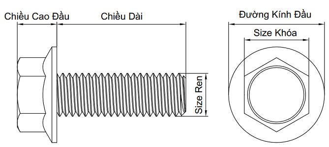 Bulong Đầu Bông Thép Mạ Kẽm 4.8 M6x15_drawing