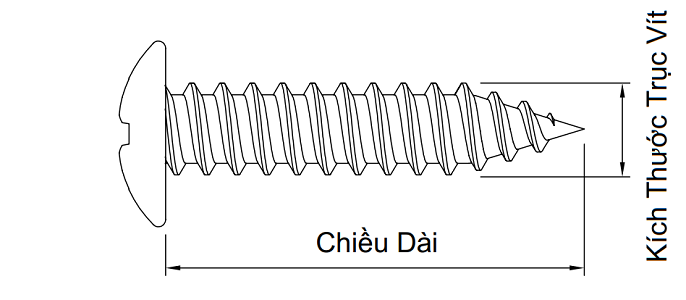 Vít Gỗ Đầu Dù Inox 304 M5x10 (#10-12TPI)_drawing