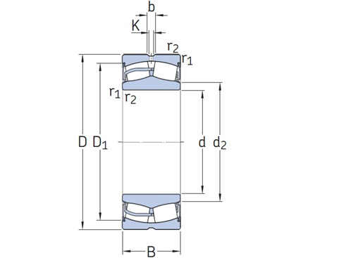 Vòng Bi Tang Trống SKF BS2-2208-2RS/VT143_drawing