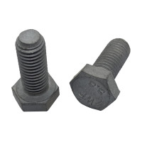 Bulong Nhúng Nóng 8.8 DIN933 M16x55