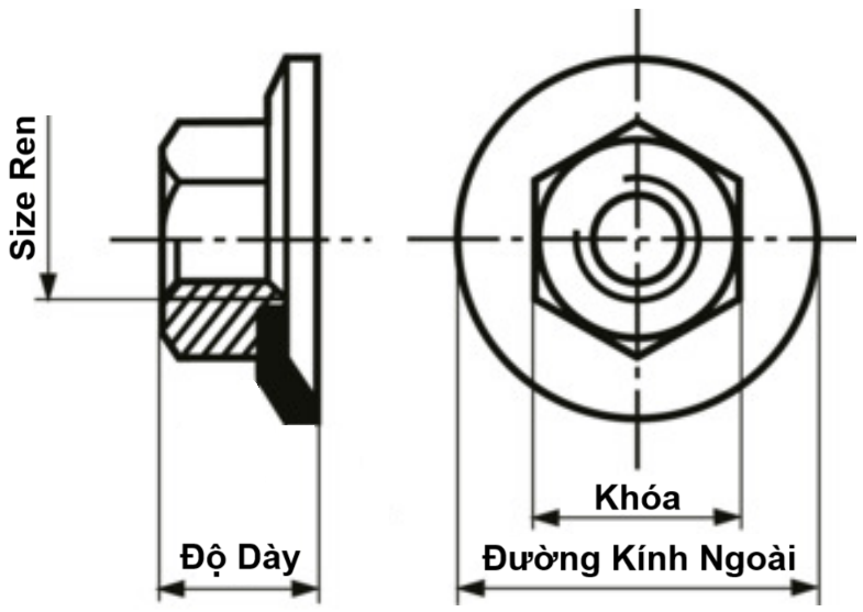 Tán Kèm Lông Đền Lò Xo Thép Mạ Kẽm CL 8 M6_drawing