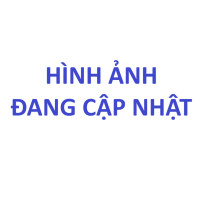 Vòng Bi Cầu Rãnh Sâu SKF 206-ZNR (30x62x16) Nắp Chắn Thép (Một Bên)