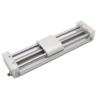 Xilanh Không Trục (Rodless Cylinder)