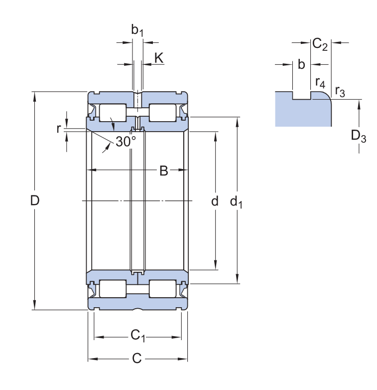 Vòng Bi SKF NNF 5020 ADA-2LSV_drawing