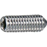 Vít Trí Đuôi Bằng Inox 304 M1.4x3 NBK Dòng SNTS-FP
