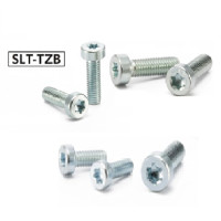 Bulong Hoa Thị Đầu Trụ Thấp Mạ Chrome M3x10 NBK Dòng TZB