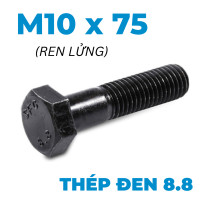 Bulong Thép Đen 8.8 DIN931 M10x75 Ren Lửng (AF16)