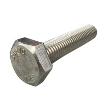 Bulong Inox 316 DIN933 M10x50