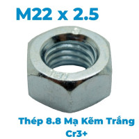 Tán Thép Mạ Kẽm Trắng Cr3+ 8.8 DIN934 M22