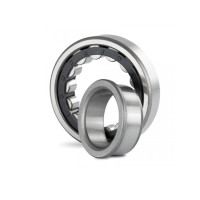 Vòng Bi Đũa Trụ 1 Dãy 20x47x14mm NTN NJ204