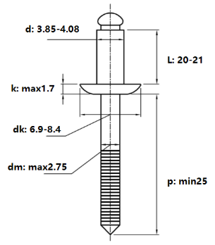 Rivet Inox 304 OD4.0x20mm (500 Cái)_drawing