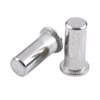 Tán Rút (Nutsert) Bít Đầu Inox 304 M6