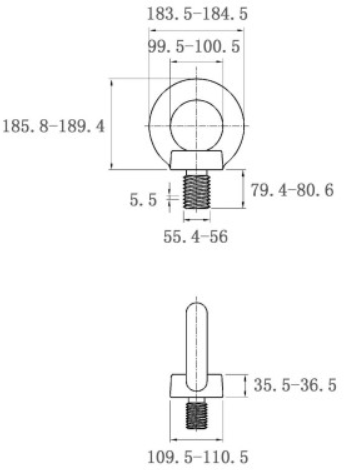 Bulong Vòng Thép Mạ Kẽm DIN580 M56x80_drawing