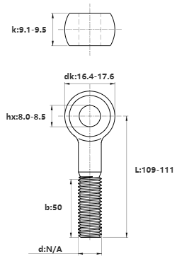 Bulong Mắt Inox 304 M10x110 (Lửng)_drawing