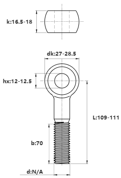 Bulong Mắt Inox 304 M16x110 (Lửng)_drawing