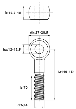 Bulong Mắt Inox 304 M16x150 (Lửng)_drawing
