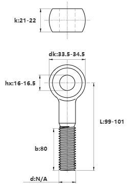 Bulong Mắt Inox 304 M20x100 (Lửng)_drawing